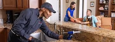 Best Emergency Pest Control  in Dearborn Heights, MI