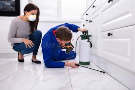 Best Indoor Pest Control  in Dearborn Heights, MI